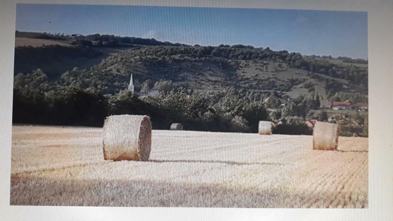 Studio Du Gite Wavrans-sur-l'Aa Εξωτερικό φωτογραφία
